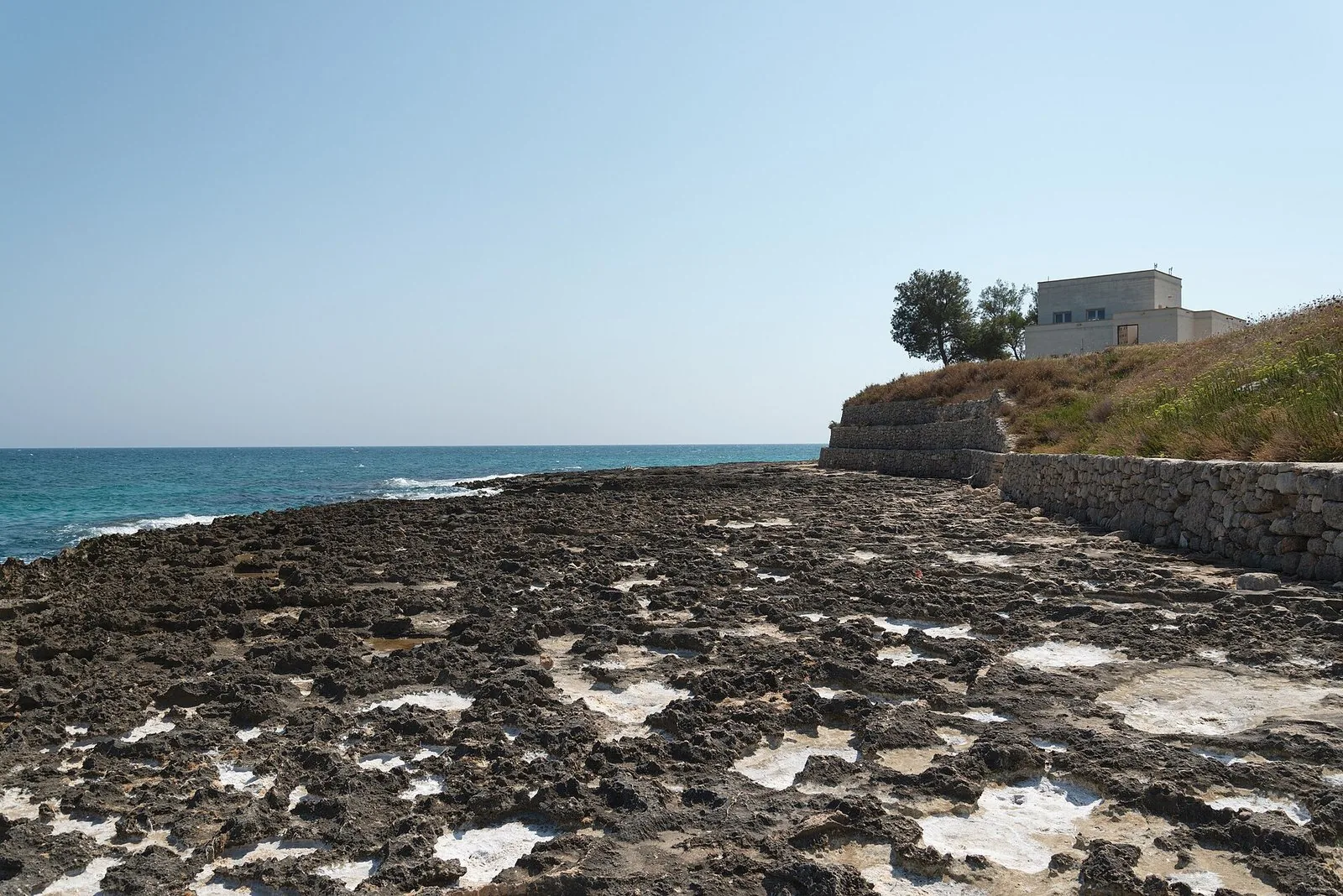 Scogliera bassa e mare turchese lungo la costa adriatica nel territorio di Fasano