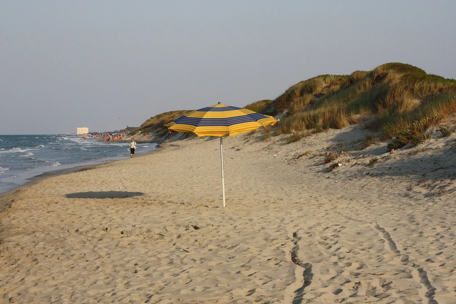 Spiaggia di sabbia dorata e dune con vegetazione mediterranea a Torre Canne