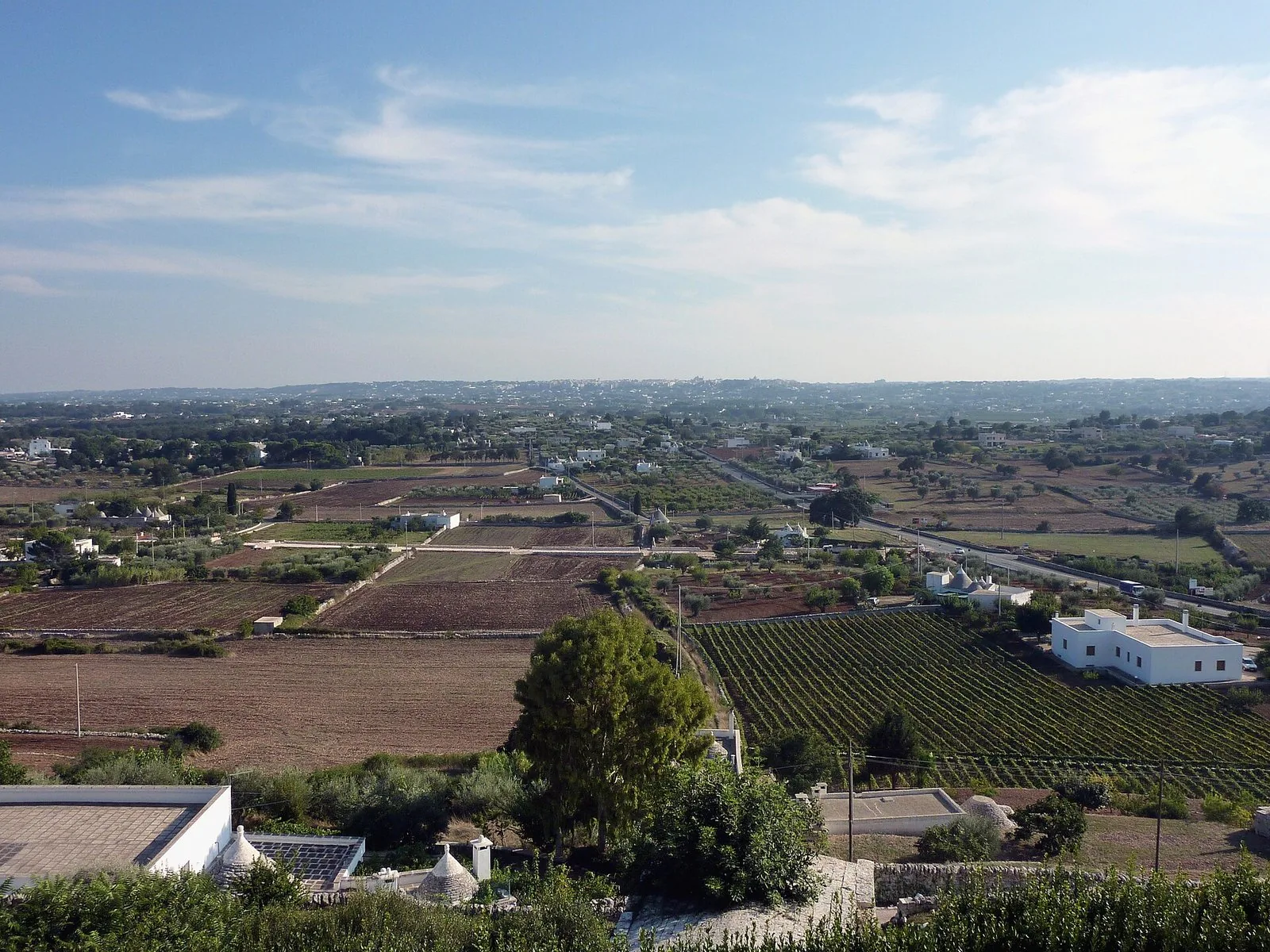 Panorama della campagna della Valle d'Itria con trulli, vigneti e masserie bianche